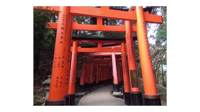 Star Fox Zero - Miyamoto dévoile les secrets de la licence ! (Wii U)