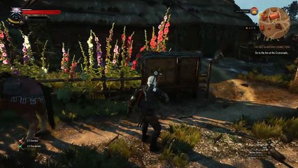 The Witcher 3 [P14] - Nilfgaardian Connection (Inn) + Wild at Heart