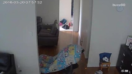 Man creeps around under child's blanket while robbing home