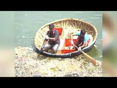 Why Hundreds of Dead Fish Washed Ashore on Bengaluru Lake