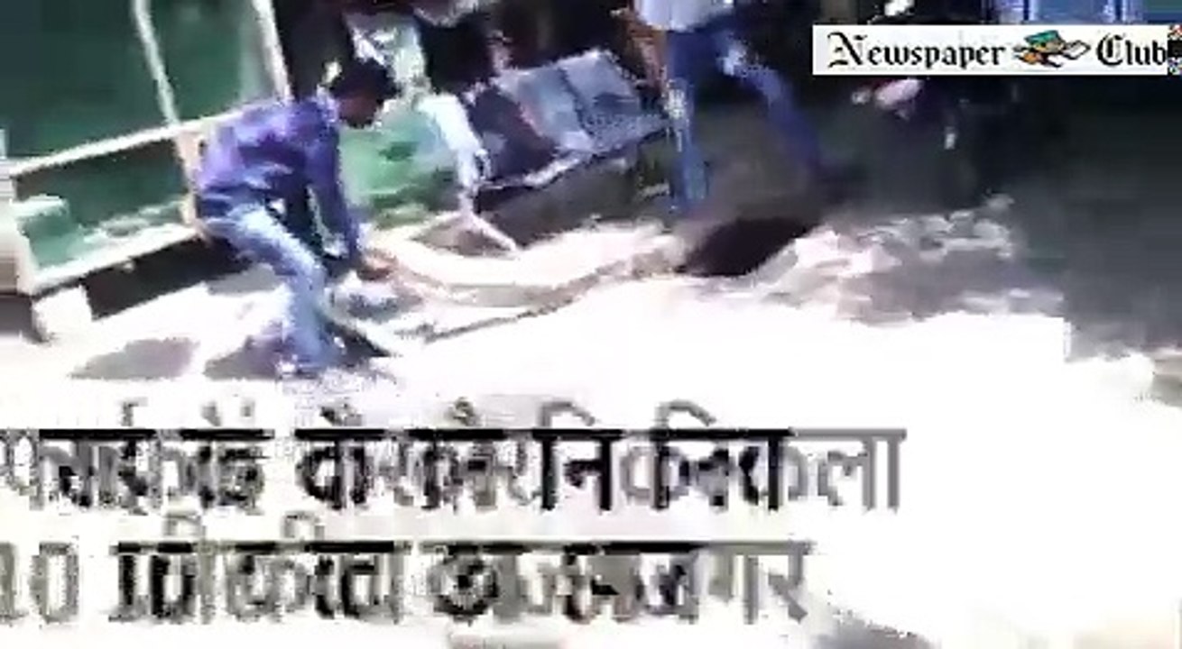 10 Feet Long Python in Sawarkar Pool, Tourists Stun News in Hindi