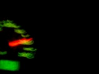 cristo et moi fiesta st en fond de 4