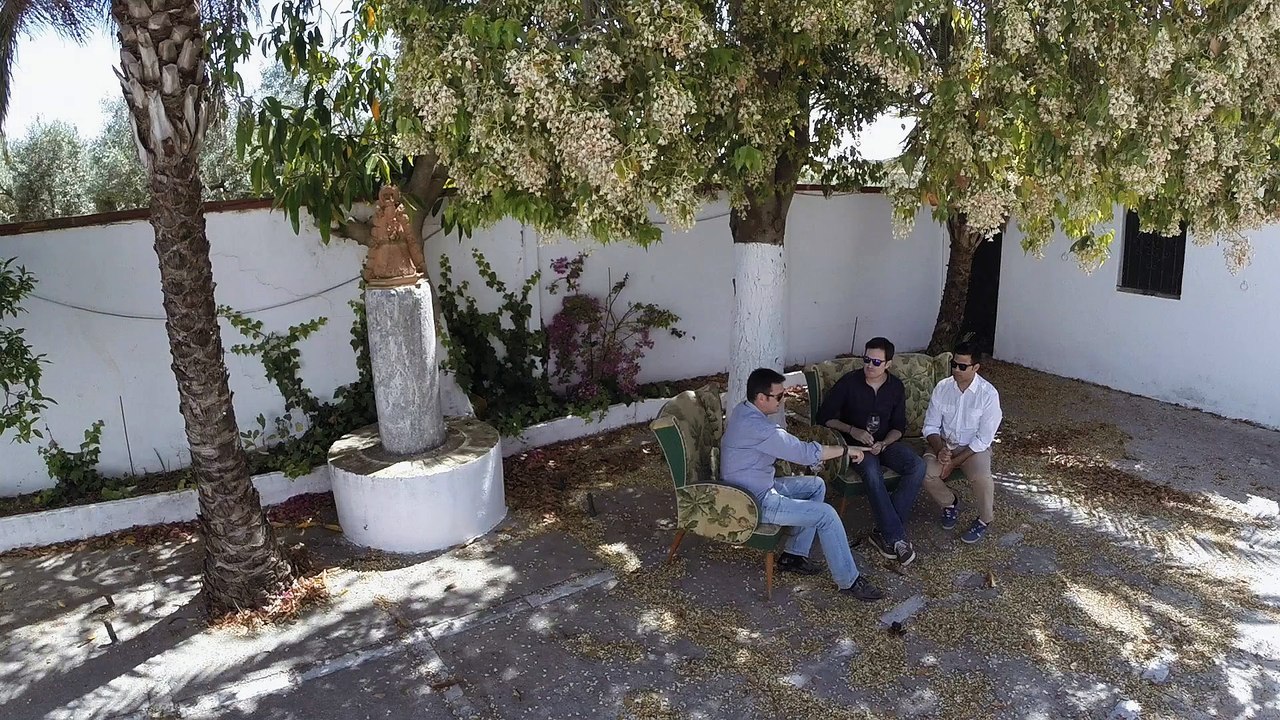 Bodegas Salado - Umbrete