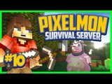 Minecraft Pixelmon Survival Server 