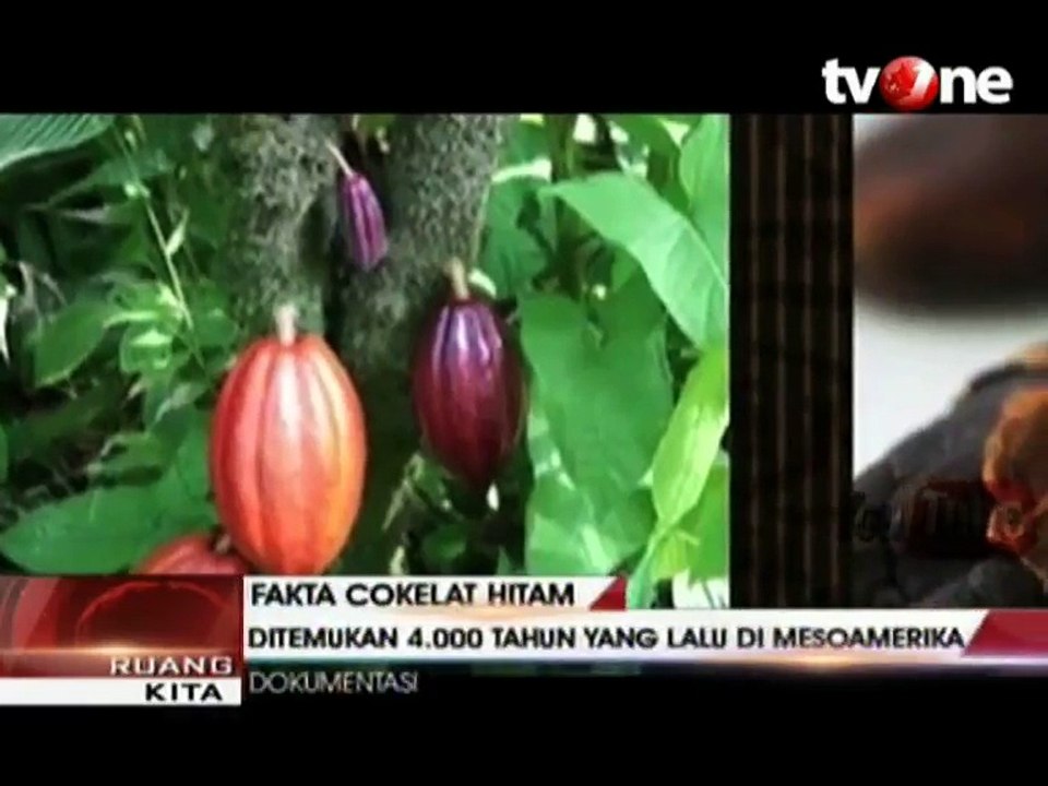 Fakta dan Manfaat Coklat Hitam