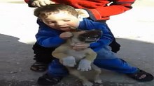 Protecting Dogs From Children bites ?
