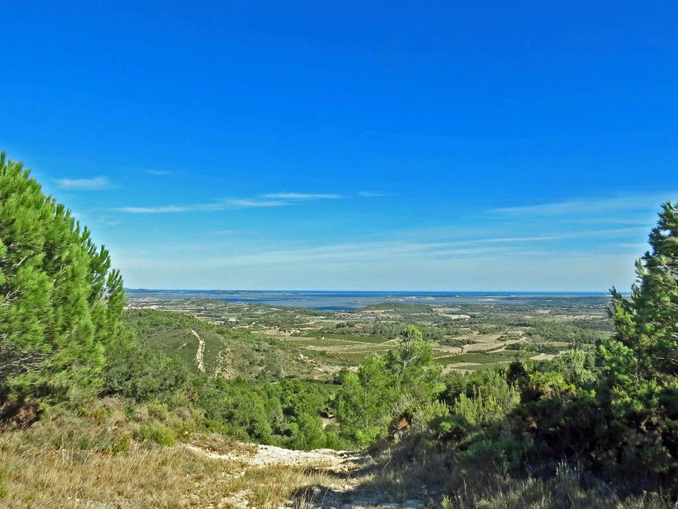 LA BOUCLE DE CANTO-PERDRIX......depuis Portel-d...
