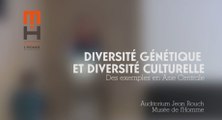 Diversité génétique et diversité culturelle