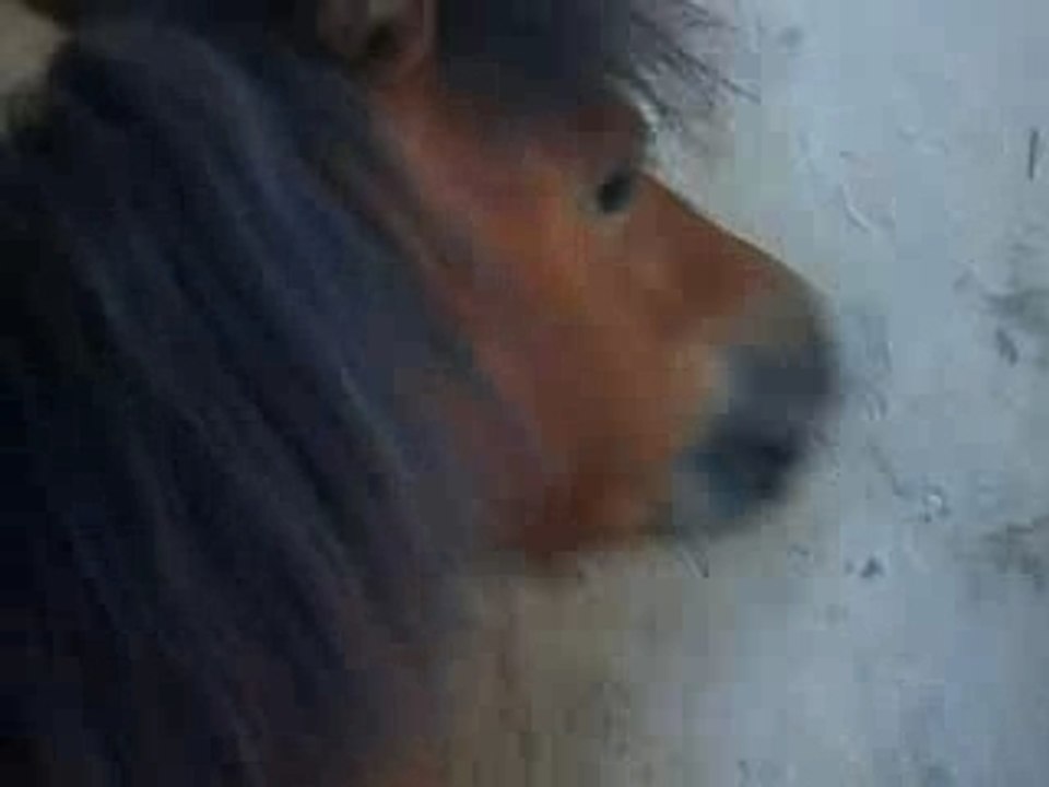 Quicki papote :)