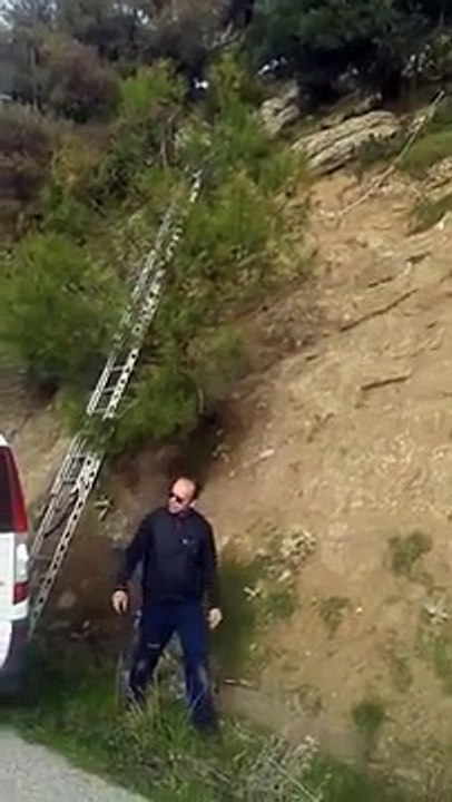 They Saw Something Strange On The Power Lines...When They Saw What It Was....OMG!