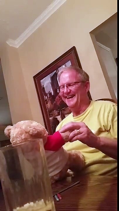 funny videos
