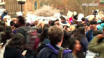 ¡Guerra del almohadas! El día internacional de la batalla más divertida de todas
