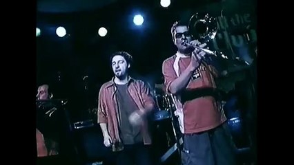 Tommys Entertainment Loop -Comedy 237