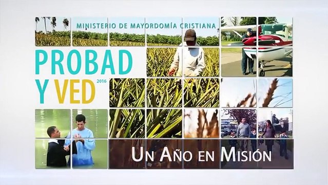 Reflexiones Cristianas Un Año en Misión