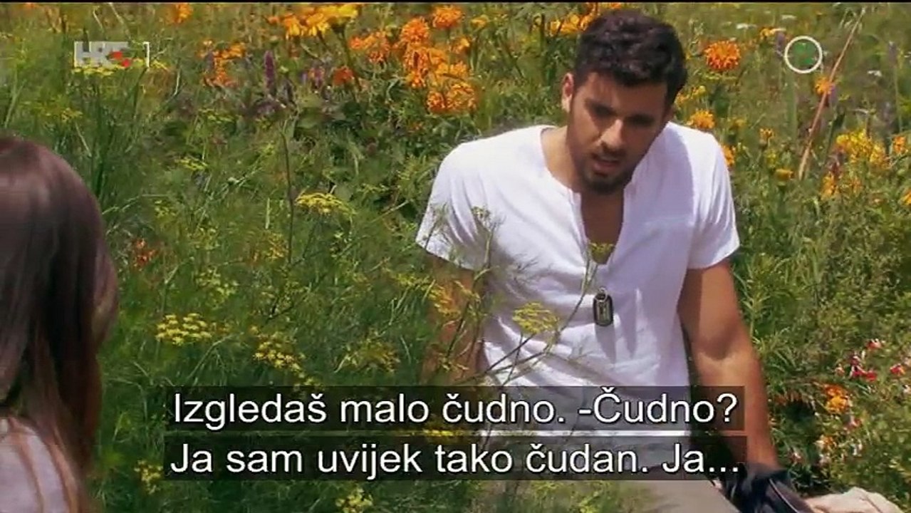 Pepeljuga 26