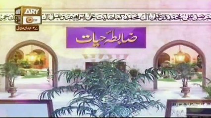 ZABTA E HAYAT - Ep 19 - 5th April 2016