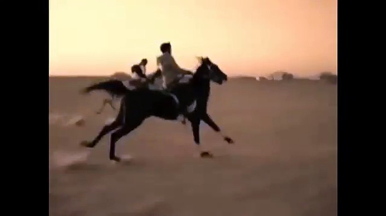 Cheb Adjel 2016 El 3awd La7mer العود لحمر (Clip) قنبلة الشاب العجال