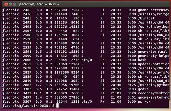 Linux Commands for Beginners - Killing Processes