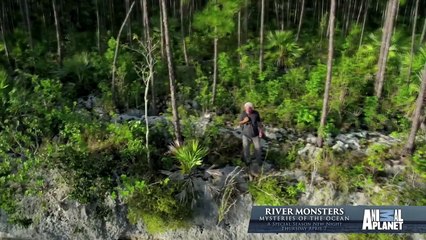 trayler monstros do rio 8 temporada