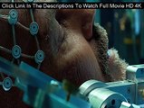 Regarder Criminal Complet Gratuit Film 720p