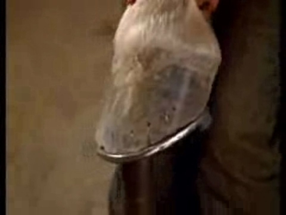 5x20-Heaven and earth-Kampf um Oscar