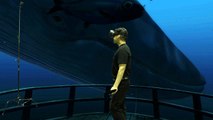 Gafas de Realidad Virtual HTC Vive, paseando entre ballenas