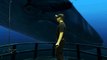 Gafas de Realidad Virtual HTC Vive, paseando entre ballenas