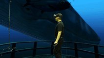 Gafas de Realidad Virtual HTC Vive, paseando entre ballenas
