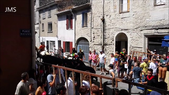 MILHAUD-Abrivado de midi à la fete votive-Juillet 2015