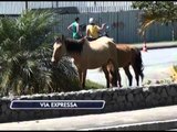 22-09-2014 - ESTAMOS DE OLHO VIA EXPRESSA - ZOOM TV JORNAL