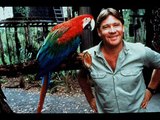 A Tribute To Steve Irwin