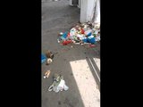 #WhatsAppCri La basura abunda en el puente peatonal ubicado frente al Hospital San Miguel Arcángel