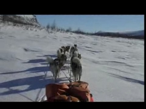 Raid jour 9/9 (traineau en laponie Suèdoise)