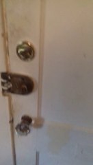 What in Tarnation?! Over Stray Cats?!!