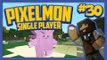 Pixelmon (Minecraft Pokemon Mod) Single Player Season 2 Ep.30 Geoff the Clefable!