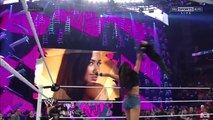 TLC Divas Championship Match - AJ Lee vs Natalya 2013