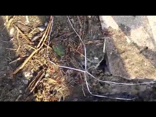 #WhatsAppCri Ruptura de tubería en la 9 de Enero, desde hace dos meses.@idaaninforma