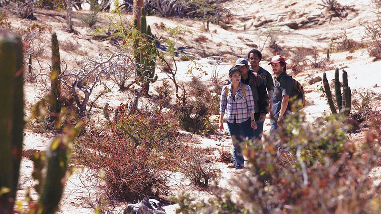 Desierto