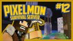 Pixelmon Survival Server (Minecraft Pokemon Mod) Lets Play Ep.12 Caspian Town!