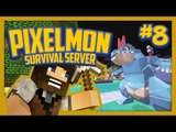 Pixelmon Survival Server (Minecraft Pokemon Mod) Lets Play Ep.8 Growing up so Fast!