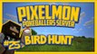 Pixelmon Server (Minecraft Pokemon Mod) Pokeballers Lets Play Season 2 Ep.25 Bird Hunt!