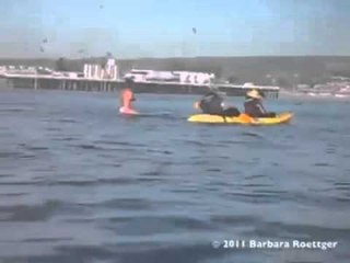 #VidaCri  Siempre hay algo que te puede sorprender.