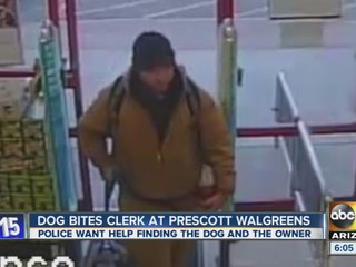 Dog bites clerk in Prescott Walgreens