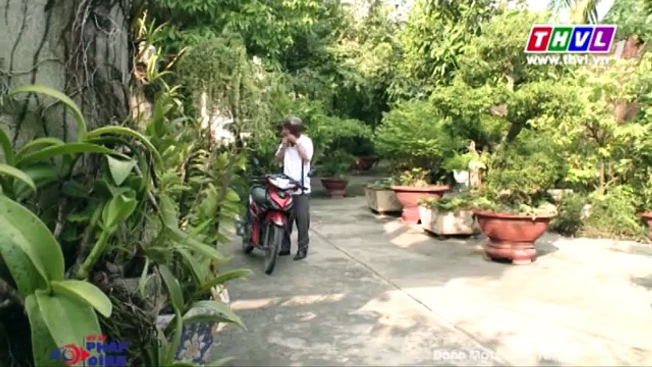 Ký sự pháp đình : Đánh mất lương tâm