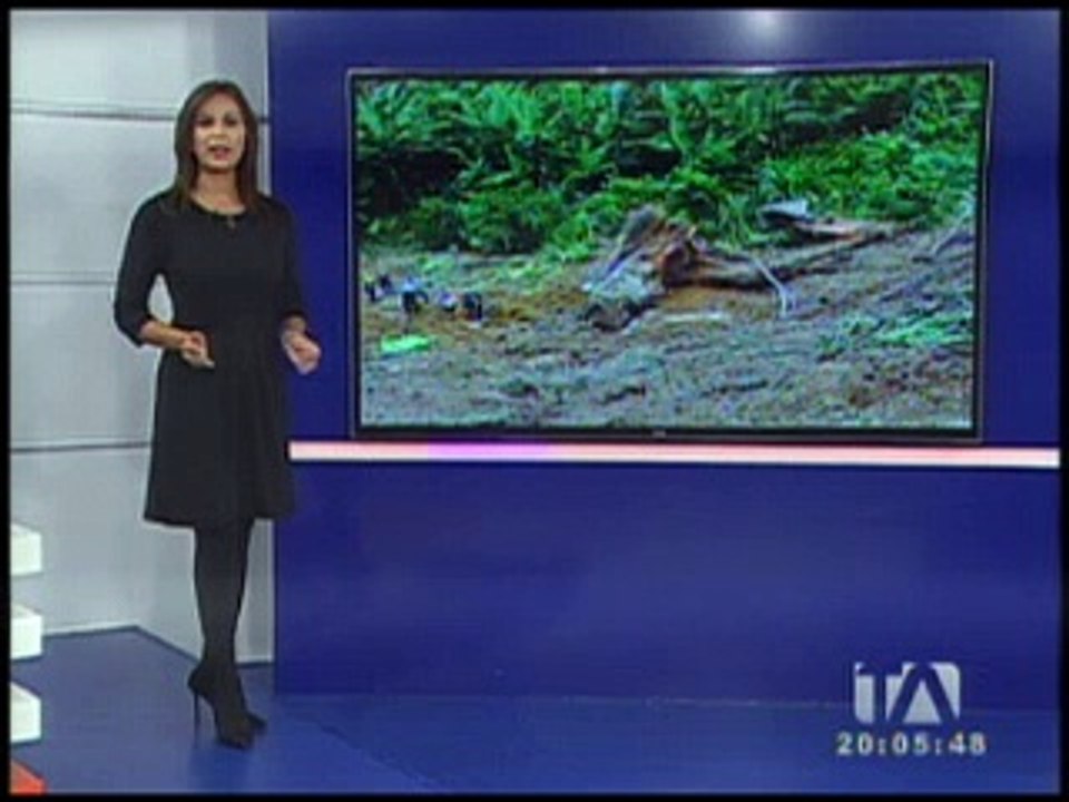 Estas son las vías inhabilitadas por afectaciones del invierno