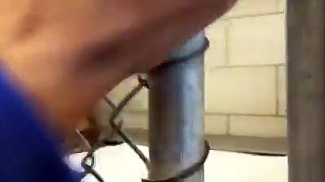 Abused Puppy Is Terrified Of Humans, But Watch What Happens When She Extends Her Hand…