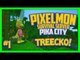 Pixelmon Server (Minecraft Pokemon Mod) Pika City Lets Play Ep.1 Treecko!