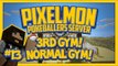 Pixelmon Server (Minecraft Pokemon Mod) Pokeballers Lets Play Season 2 Ep.13 3rd Gym! Normal Gym!