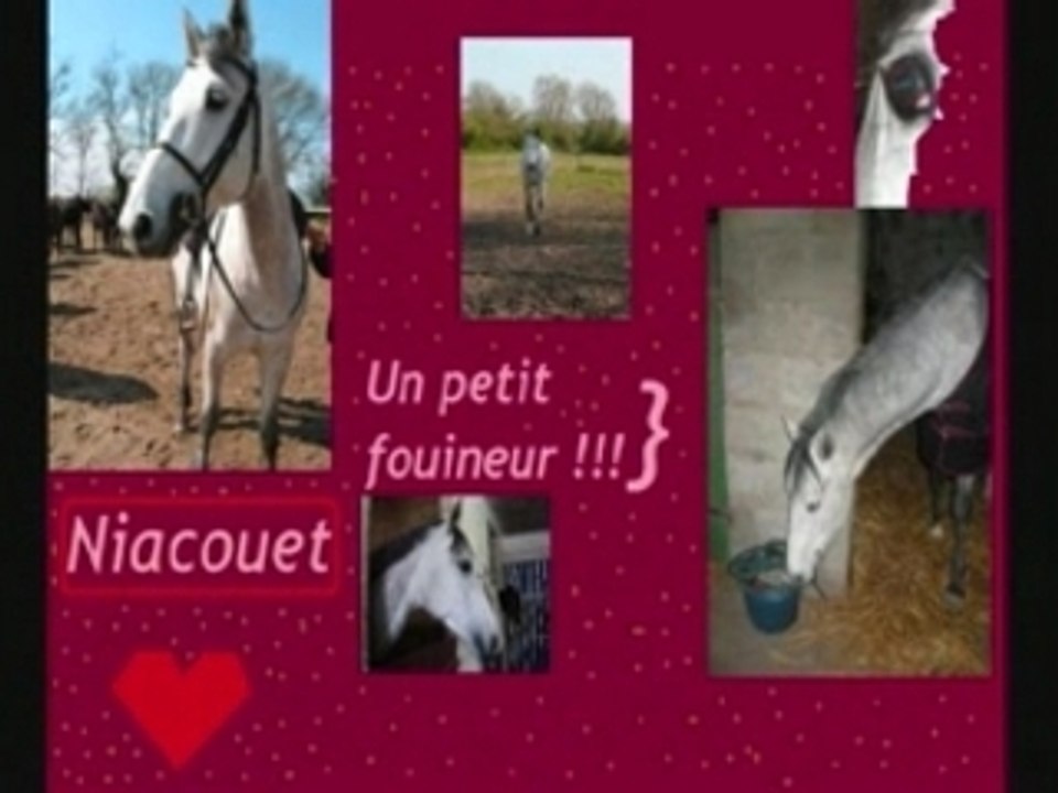 Les montages