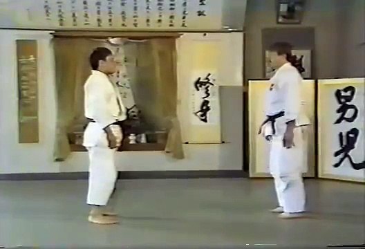 Minoru Mochizuki Aikido